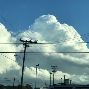 Meet your Posher, Flossie